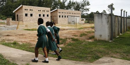 How the twilight of SA’s migrant labour system spawned a social apocalypse