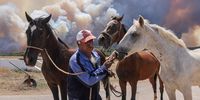 A man evacuates horses as a wildfire burns near the village of Pournari, Greece, July 18, 2023. REUTERS/Giorgos Moutafis