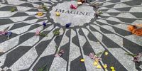 Strawberry fields forever. Photographer: Ian Ossher 