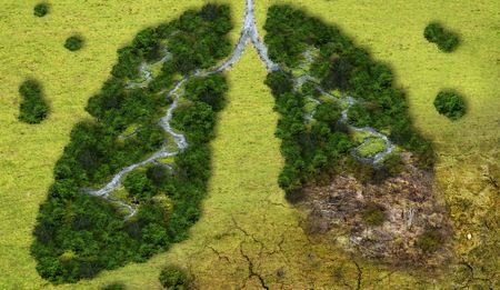 Midway to the deadline for achieving Sustainable Development Goals, South Africa is not faring well