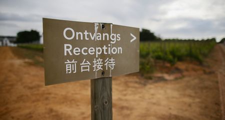 Op-Ed: A citizen’s guide to the economy (and why Pravin Gordhan will prevail)