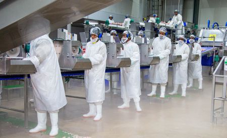 How Daybreak’s chickens came home to roost