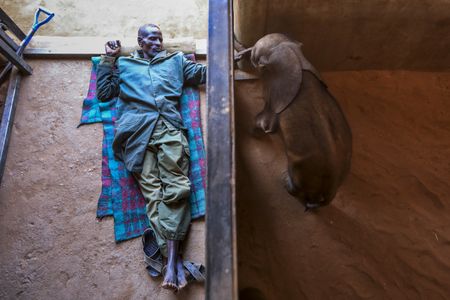 The angry planet – October 2022