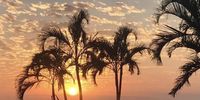 Sunrise - Desainagar, Tongaat Beach, Kwa Zulu Natal, RSA. Photographer: Pravesh Babulal