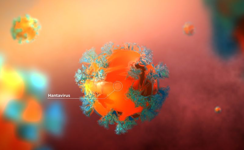 South African passenger who had contact with hantavirus victim tests negative