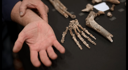 Netflix’s 'Unknown: Cave of Bones' takes on the ancient cold case of Homo naledi