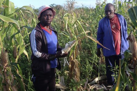 The fence that isn’t — wildlife, disease and neglect on the SA-Eswatini border