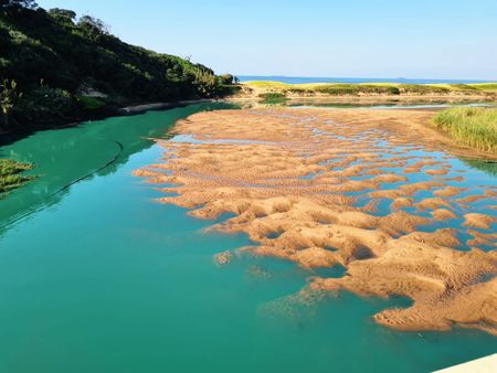 UPL lawyers fight NPA prosecution decision on Durban chemical blaze