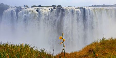 Breakfast in Botswana, sundowners in Namibia: succumbing to a land of plenty