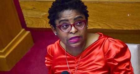 SSA as bulwark for SA security and sovereignty, says Ntshavheni — but MPs point to missing cash, tools and laws