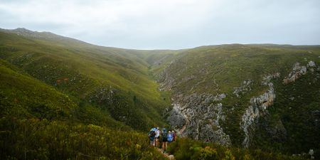 The Whale Trail: South Africa’s coveted hike promising serenity and spectacular coastal views