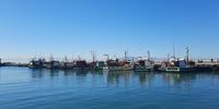 Fishing boats at Kalk Bay, waiting for the right to fish. (Photo: Don Pinnock)
