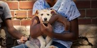 Durban Deep, South Africa - February 23, 2019: A child arrives at CLAW (Community Led Animal Welfare) with a sick dog. CLAW assists with veterinary services to animals in some of Johannesburg's poorest township areas. Picture: DANIEL BORN for DAILY MAVERICK
