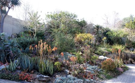 This summer, bring nature to your living space and create a festive garden