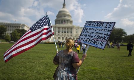 US: Republican establishment spoils Tea Party's party