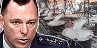 US general warns that Mexican cartel activity in Africa, including SA, boosts terrorism