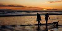 End of a beautiful spring day with the dogs on the beach. Strand beach, Cape Town. Photographer: Anneen Steyn-Durand 