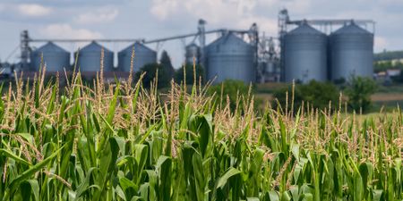 Biggest threat to food security in SA is ‘lack of subsistence farming’ - panel warns