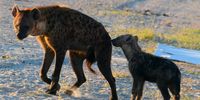 Mother and child. Image: Karin Linder