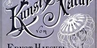 Cover of Kunst Formen Natur, by Ernst Haeckel. (Photo: Supplied)