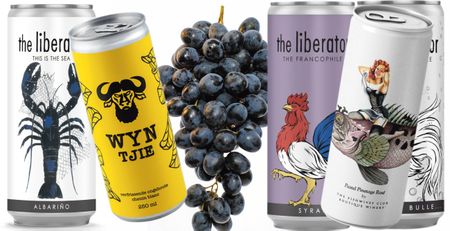 South Africa’s resilient wine industry learns to adapt and survive in tougher environment