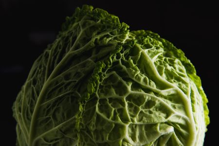 Stop the cabbage slander at once, stop it this very minute!