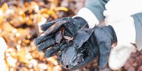Gunnar-Kalk Bay Cleanup