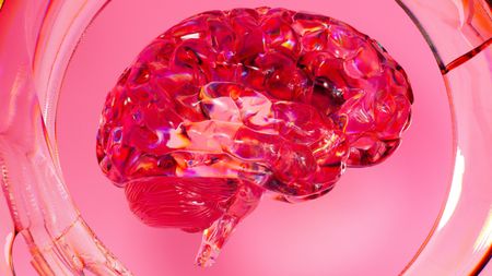 Microplastics are in our brains. How worried should you be?