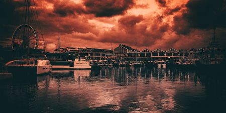 ‘This is not entertainment, this is a protest’ — Cape Town’s V&A Waterfront gets a taste of real life in SA