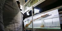 Visitors inside the hatchery, a squat building with fish tanks stacked along both sides.(Photo: Felix Dlangamandla)