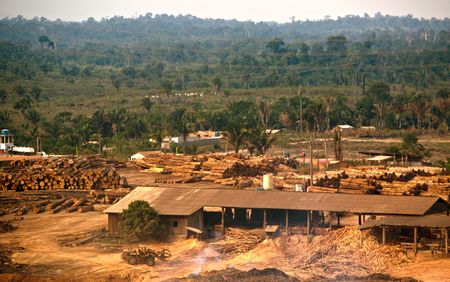 Commodification of carbon provides fertile ground for agrarian injustice, conference is told