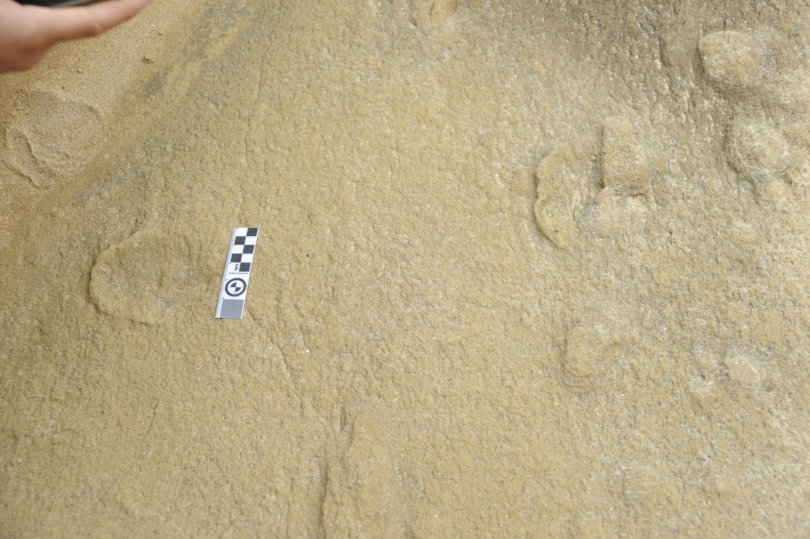 Ancient footprints: Blombos Cave and the birth of human intelligence