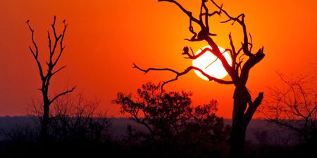 The High Road to a greater Kruger National Park