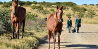 Learners from  Ntabenkonyana Senior Secondary School in Xesi, Eastern Cape, on the last stretch of their 10km walk to school. (Photo: Deon Ferreira)
