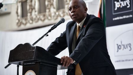 Herman Mashaba's comments on illegal immigrants trigger negative reactions