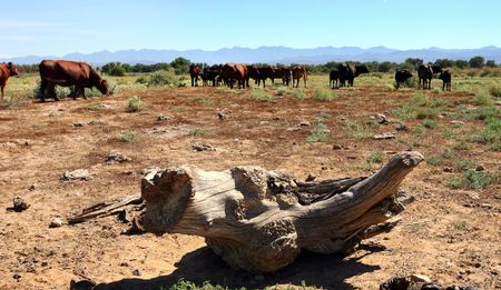 Farm attacks: If only the issue were just black and white