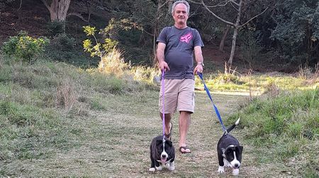 When a gentle family stroll on the beach turns into a mad dog nightmare