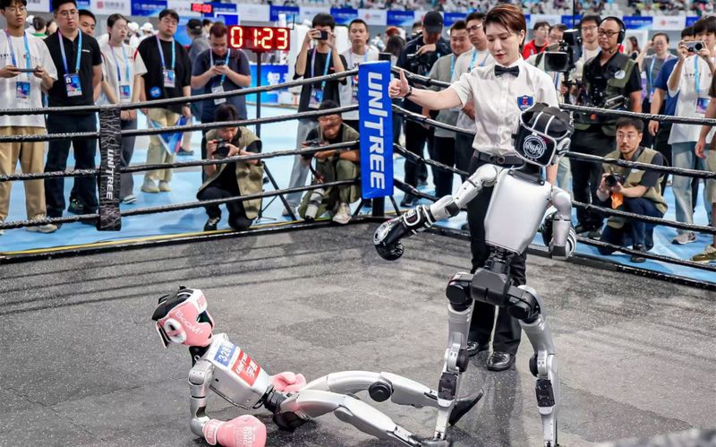 Crossed Wires: The unbearable weirdness of humanoid robots
