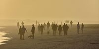 Sunday evening beach walk. Photographer: Logan Jooste</p>
<p>P4U_readersubmission_20250530