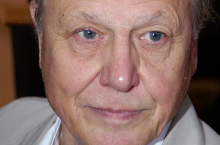 David Attenborough and the beautiful life - life on Earth