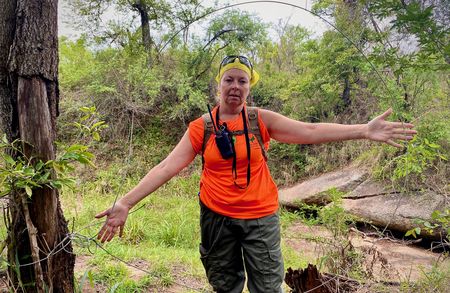 Hit on Kruger Park buffaloes - at least 135 bovids dead out of 415 animals snared across species in 2023