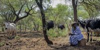 Members of a group of female cattle farmers in Pachsdraai Village, near the Groot Marico in South Africa. (Photo by Gallo Images / Foto24 / Loanna Hoffmann)