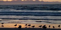 Fish Hoek beach just before sunrise yesterday morning.