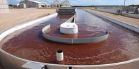 Commercial astaxanthin production as a human health supplement in Queensland Australia. (Photo: Anthony Turton)