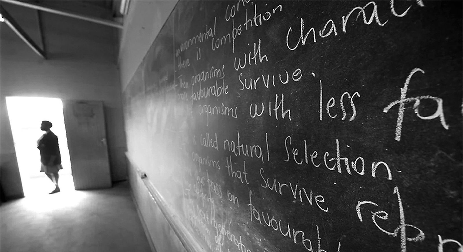 Execs Back to School aims to fix SA’s education system