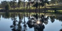 Morning Reflections, Nottingham Road. Image: Gill Green 