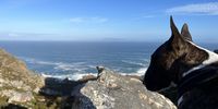 Lookout over False Bay. Photographer: Lieze Norval