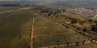 An aerial view of Avalon Cemetery in Johannesburg. Joburg mayor Dada Morero encouraged families to consider low-cost options such as reusing family graves — a practice already common in other parts of the world.. (Photo: Our City News / James Oatway)