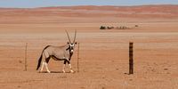 [I'm watching you!]. Photographer: [Martin Fennell]. 