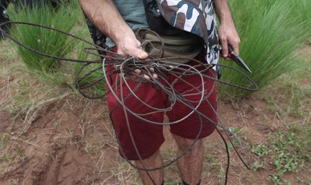 Spike in snare trap placements leading to growing number of wildlife deaths in KZN